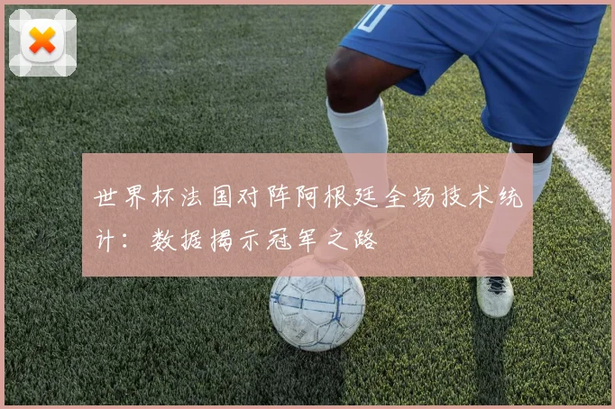 世界杯法国对阵阿根廷全场技术统计：数据揭示冠军之路