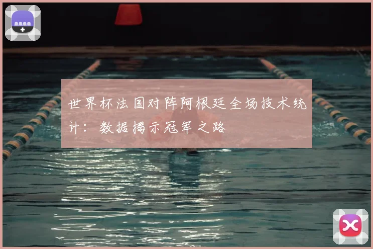 世界杯法国对阵阿根廷全场技术统计：数据揭示冠军之路