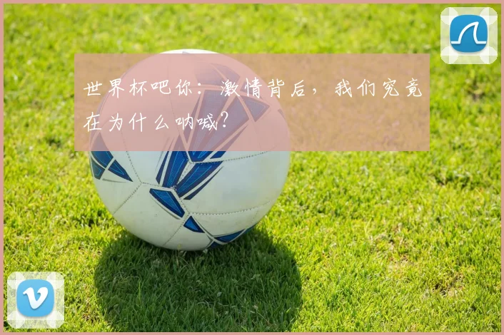 世界杯吧你：激情背后，我们究竟在为什么呐喊？