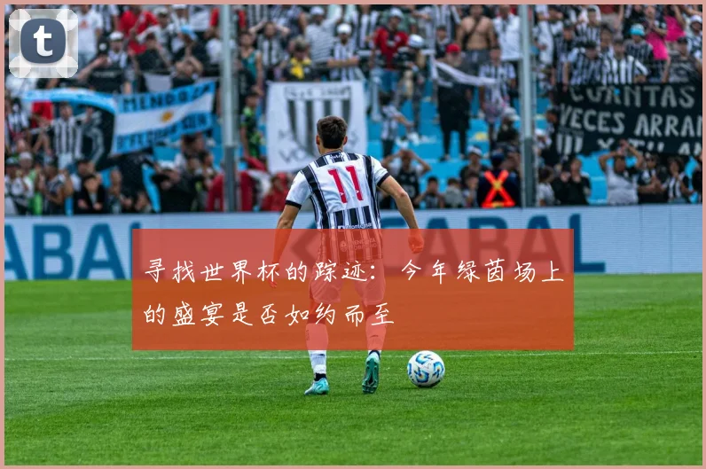 寻找世界杯的踪迹：今年绿茵场上的盛宴是否如约而至