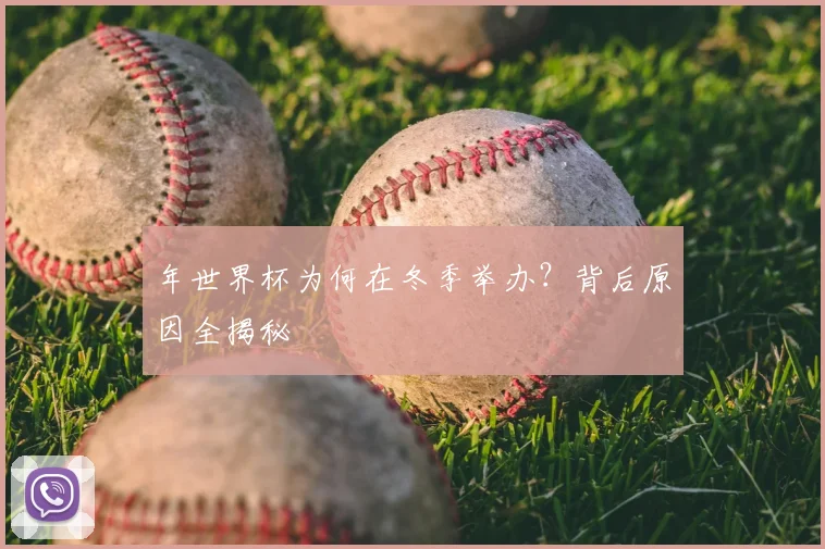 年世界杯为何在冬季举办？背后原因全揭秘