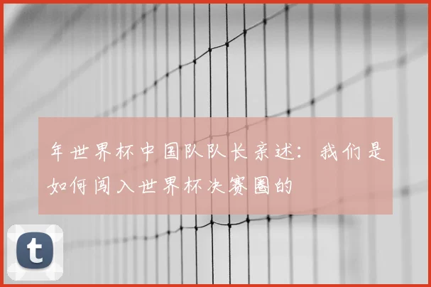 年世界杯中国队队长亲述：我们是如何闯入世界杯决赛圈的