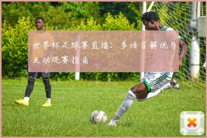世界杯足球赛直播：多语言解说与互动观赛指南