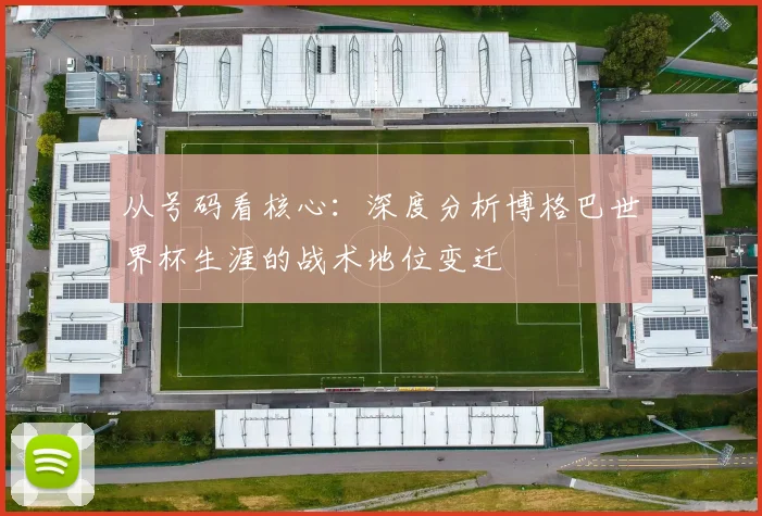 从号码看核心：深度分析博格巴世界杯生涯的战术地位变迁